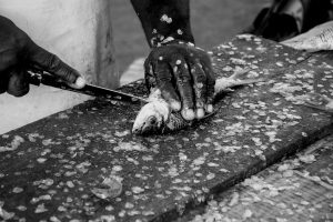 Mastering the Technique of Pan-Searing Fish Fillets