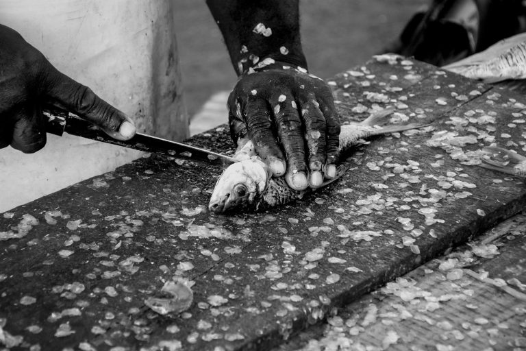 Mastering the Technique of Pan-Searing Fish Fillets