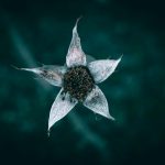 The Growing Trend of Sustainable and Eco-Friendly Gadget Production