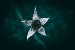 The Growing Trend of Sustainable and Eco-Friendly Gadget Production