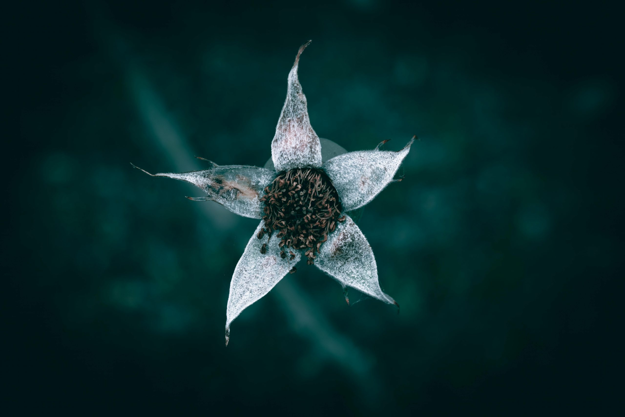 The Growing Trend of Sustainable and Eco-Friendly Gadget Production