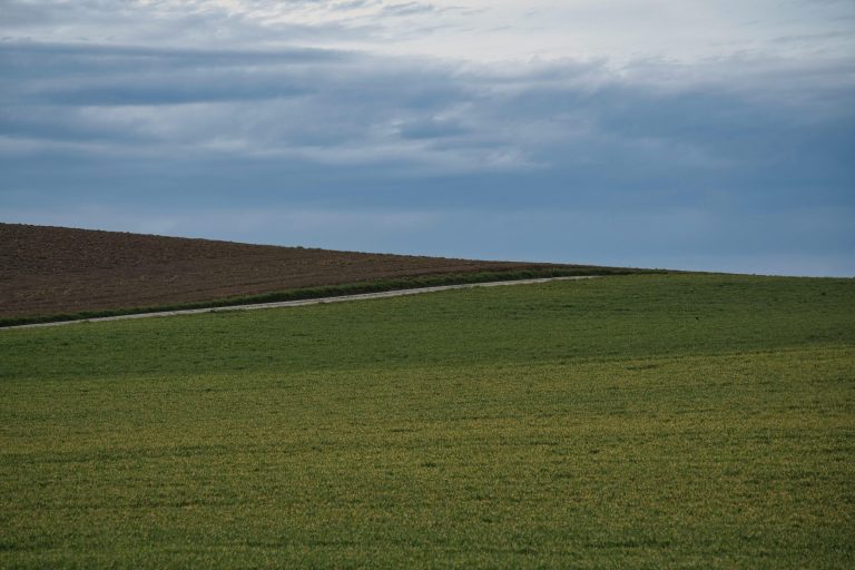 Investing in Undeveloped Land: Risks and Rewards