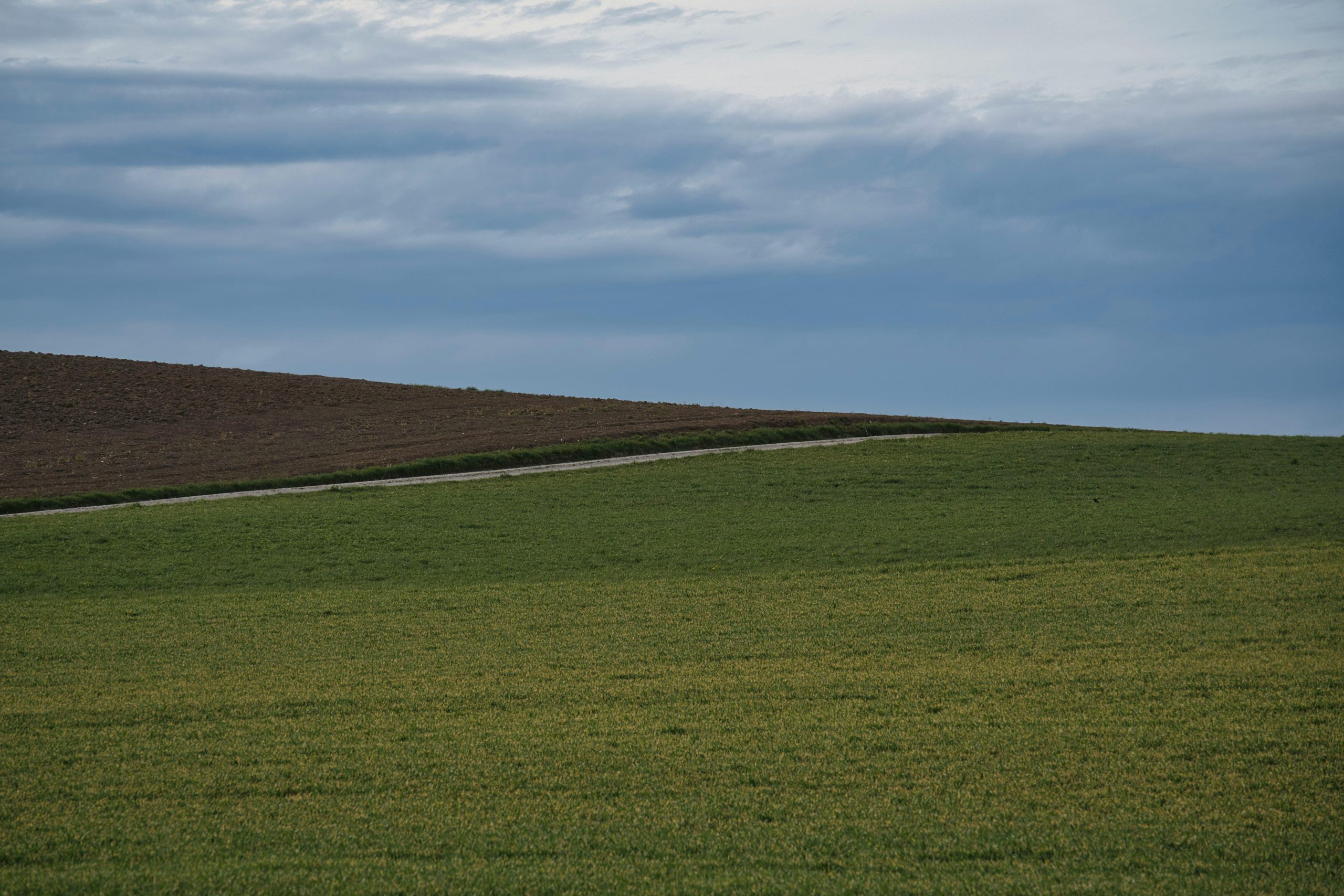 Investing in Undeveloped Land: Risks and Rewards