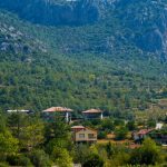 Understanding the Appraisal Process for Residential Homes