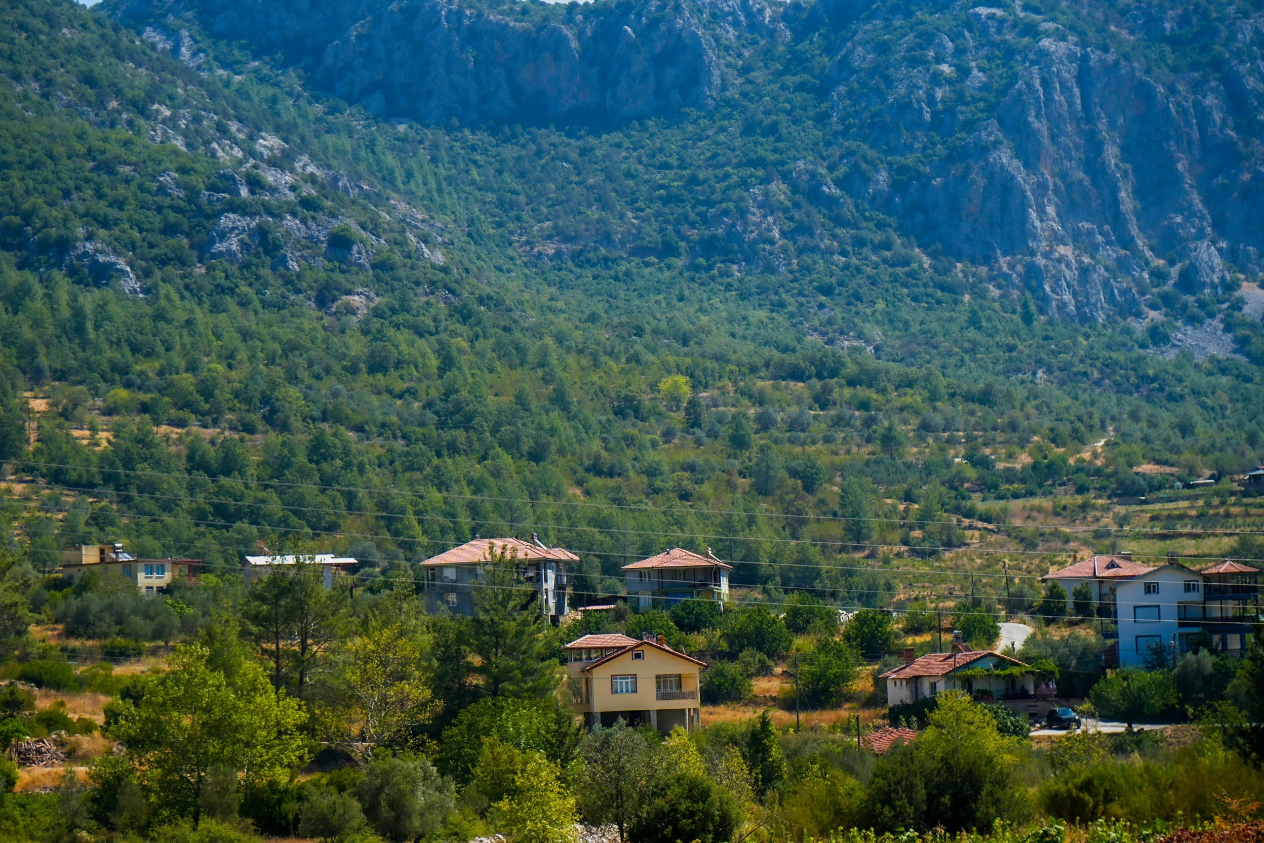 Understanding the Appraisal Process for Residential Homes