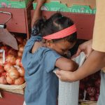 Exploring the Environmental Impact of Your Shopping Basket