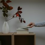 Getting the Best Deals on Travel: Booking Strategies Revealed