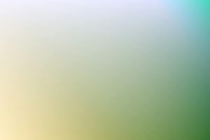 Understanding the Various Standards for Digital Color Representation