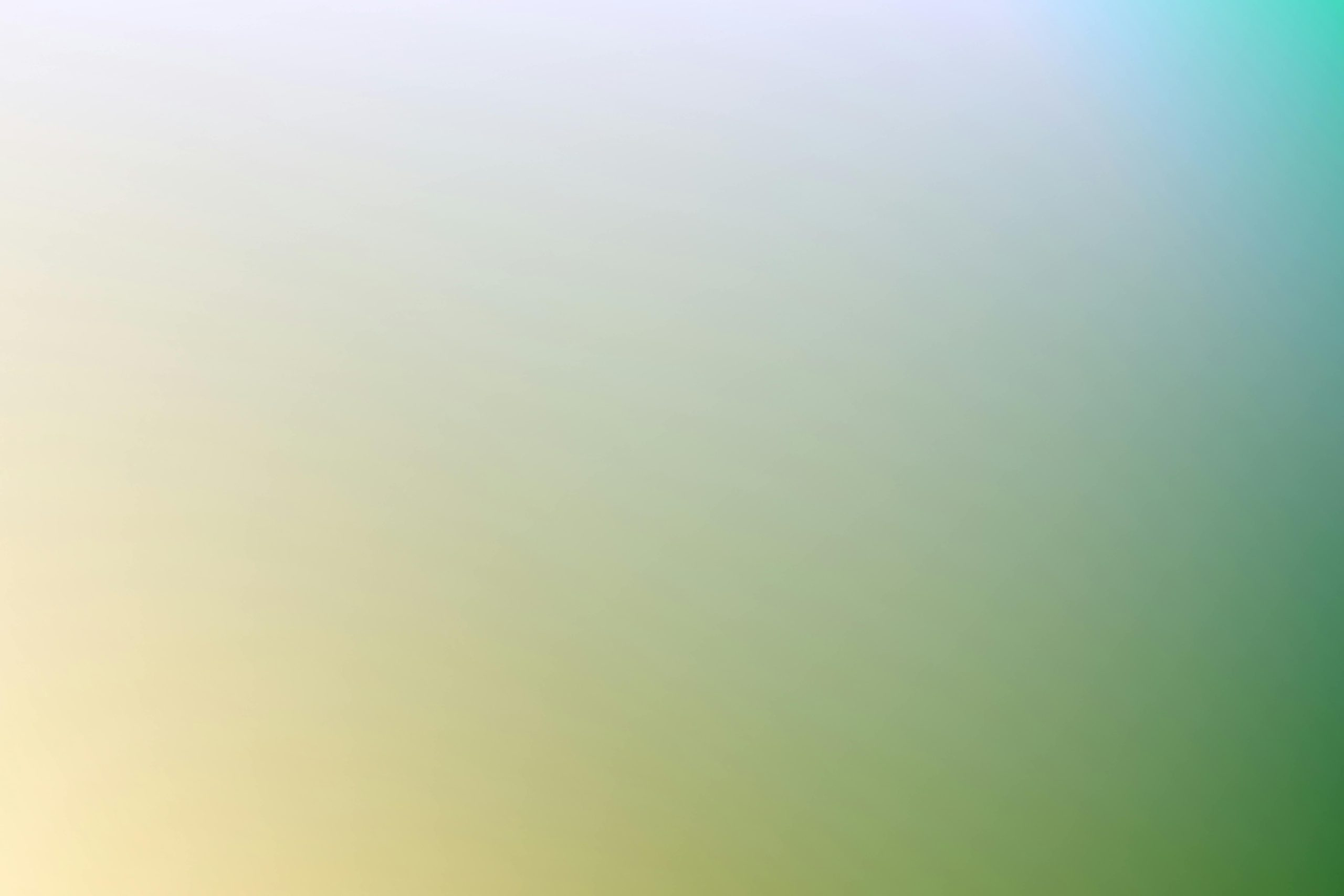 Understanding the Various Standards for Digital Color Representation