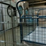 Demystifying the Process of Dry Cleaning and Garment Preservation