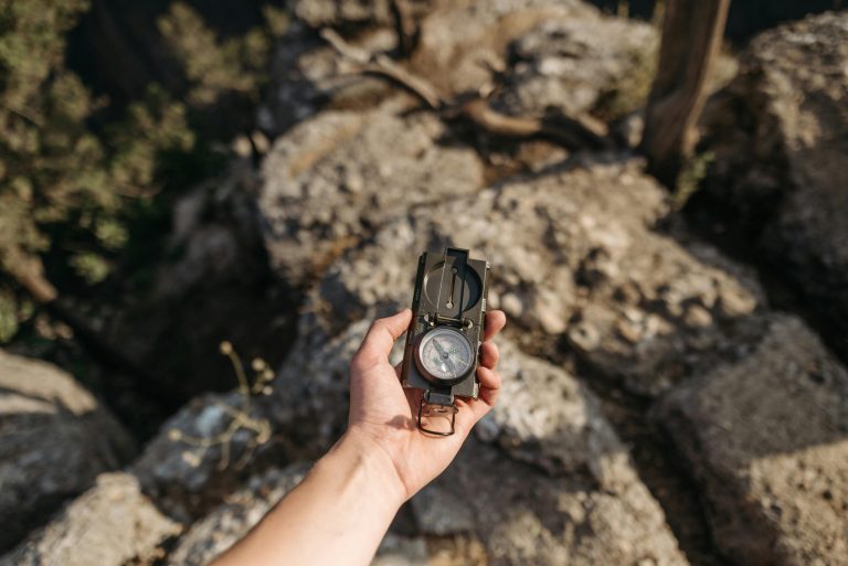 Exploring the World of Direct-to-Consumer Brands